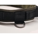 K9 Cobra Buckle Collar Medium Duty by Sword and Shield Strategic - Sword and Shield Strategic
