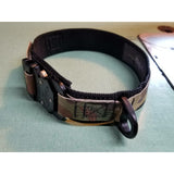 K9 Raptor Buckle Collar Medium Duty by Sword and Shield Strategic - Sword and Shield Strategic